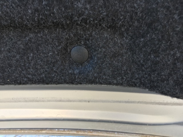 Tree plug Felt Plug